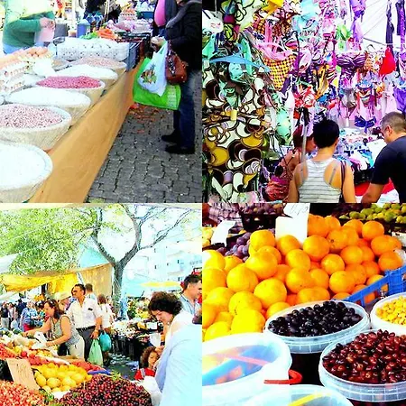 Apartment Porto Terrace *