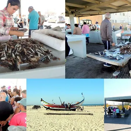 Porto Terrace Espinho