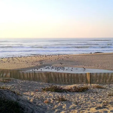 Porto Terrace Apartman Espinho