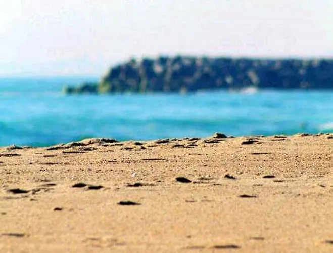 Porto Terrace * Espinho (Aveiro)