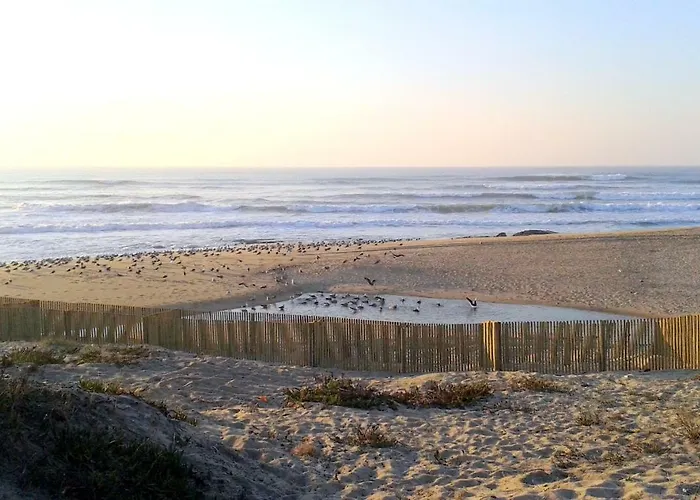 Porto Terrace Daire Espinho (Aveiro)